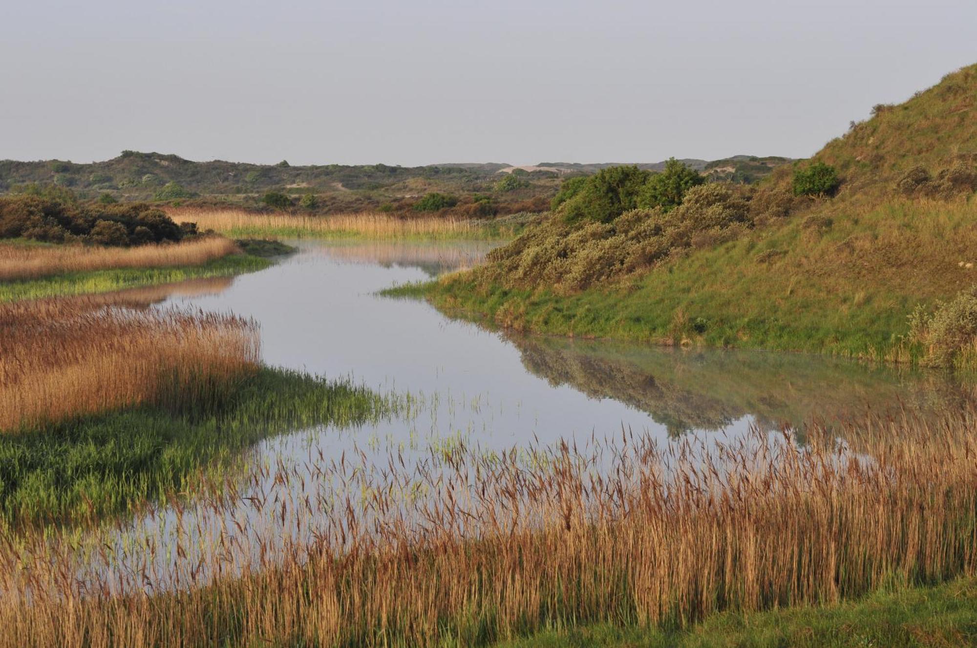 Boutique Lodge Zandvoort Zewnętrze zdjęcie